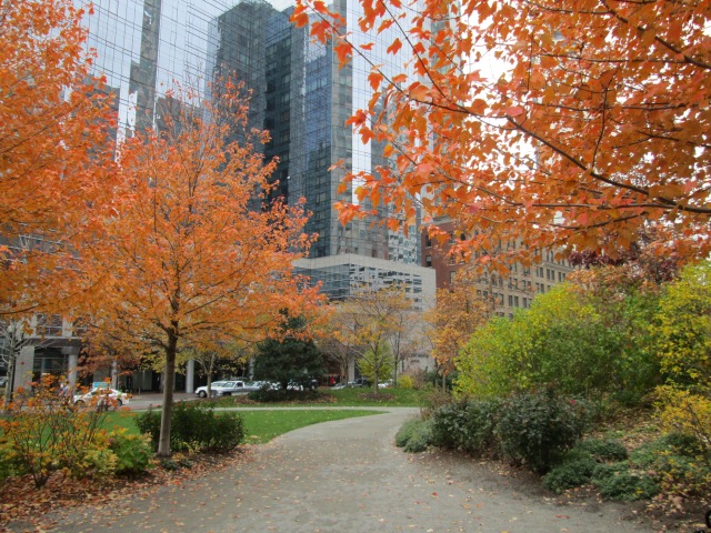 boston greenway path with autumn foliage