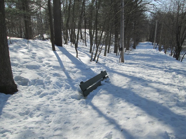 bench buried in snow