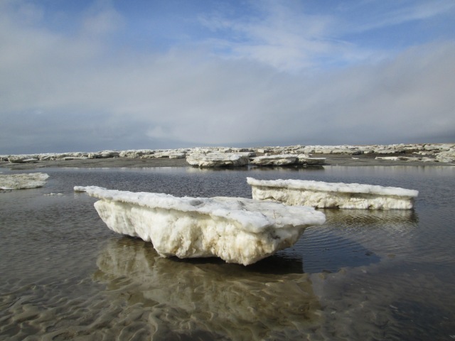 Giant ice floes that I saw last weekend on Cape Cod.