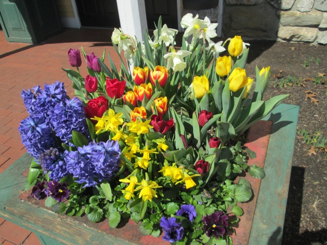 planter full of flowers - lilacs, tulips, and daffodils