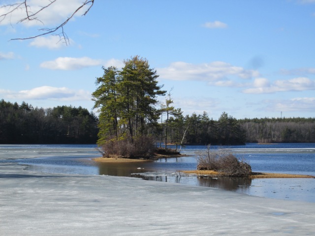 small island with trees in middle of icy lake with blue sky