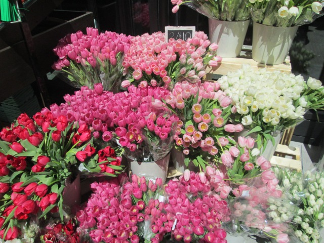 pink tulip display